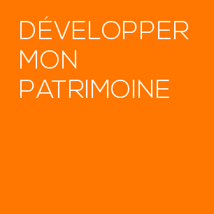 Développer optimiser gérer son patrimoine