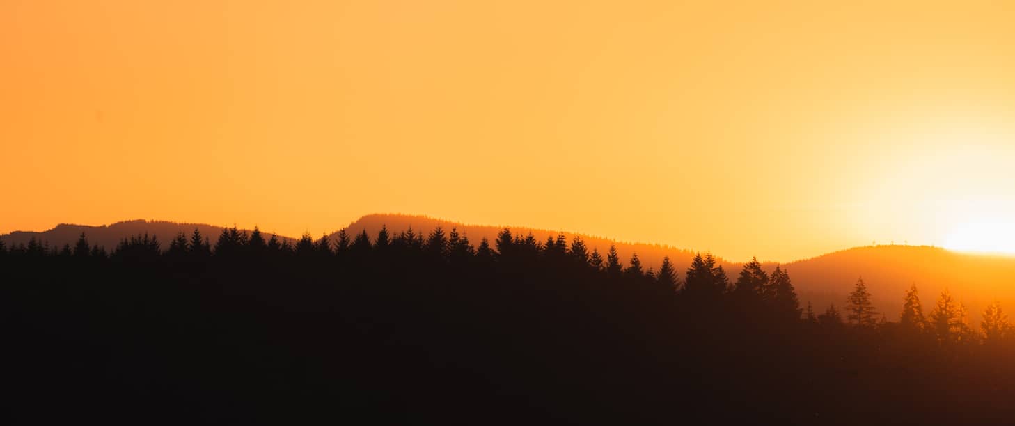 Bilan Retraite avec le Cabinet Cèdre Patrimoine Paris (1)